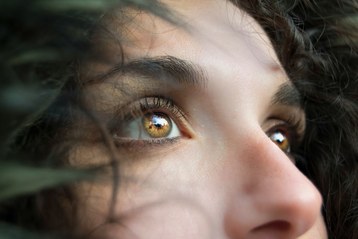 Cejas y párpados